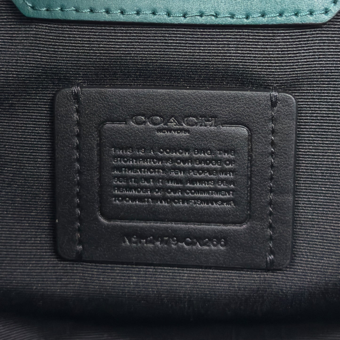 COACH Nina 2用包
