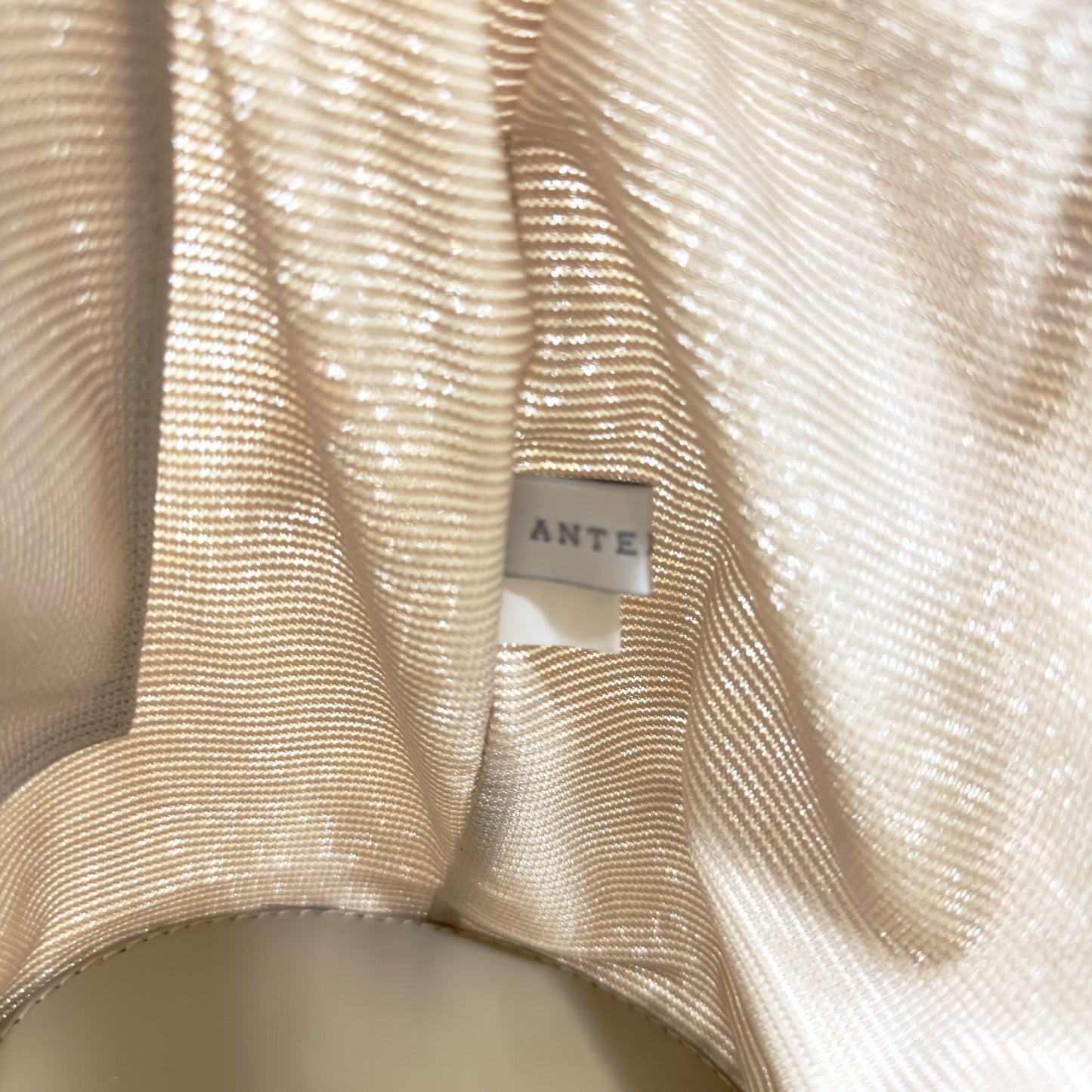 ANTEPRIMA Wirebag 花花 手袋