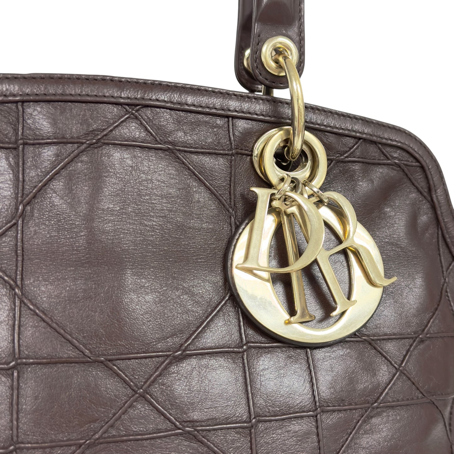 DIOR Granville 2用袋
