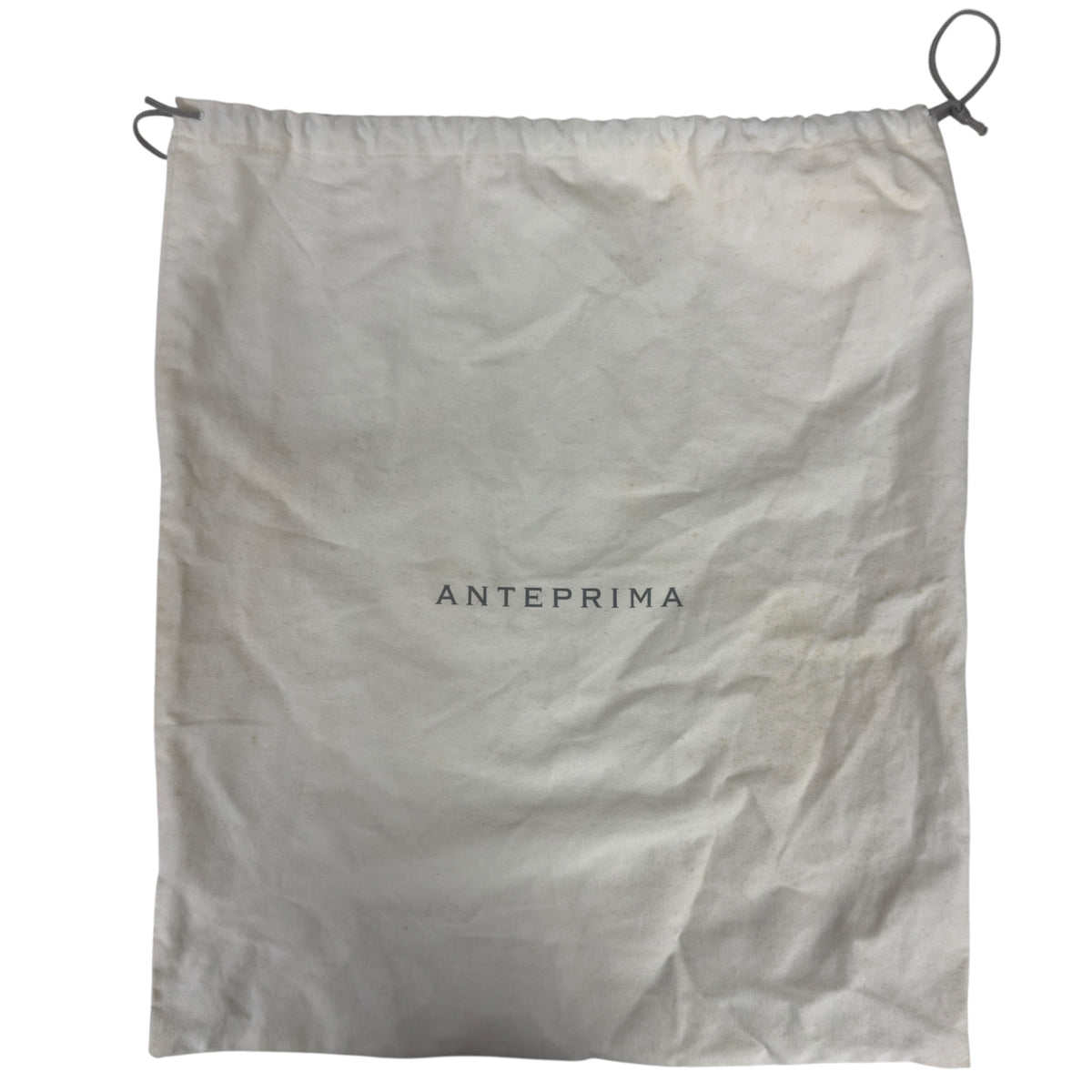 ANTEPRIMA Wirebag 肩背包