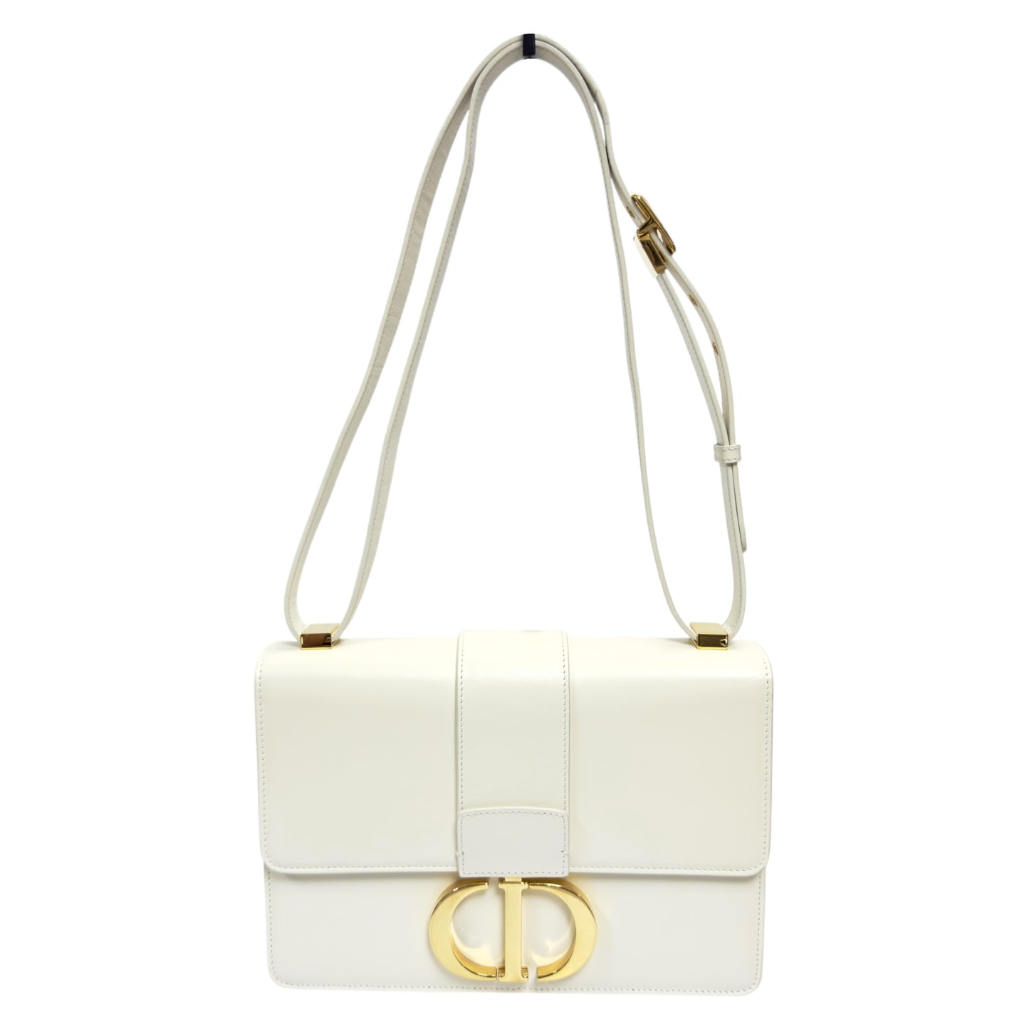 DIOR 30 Montaigne 2用袋