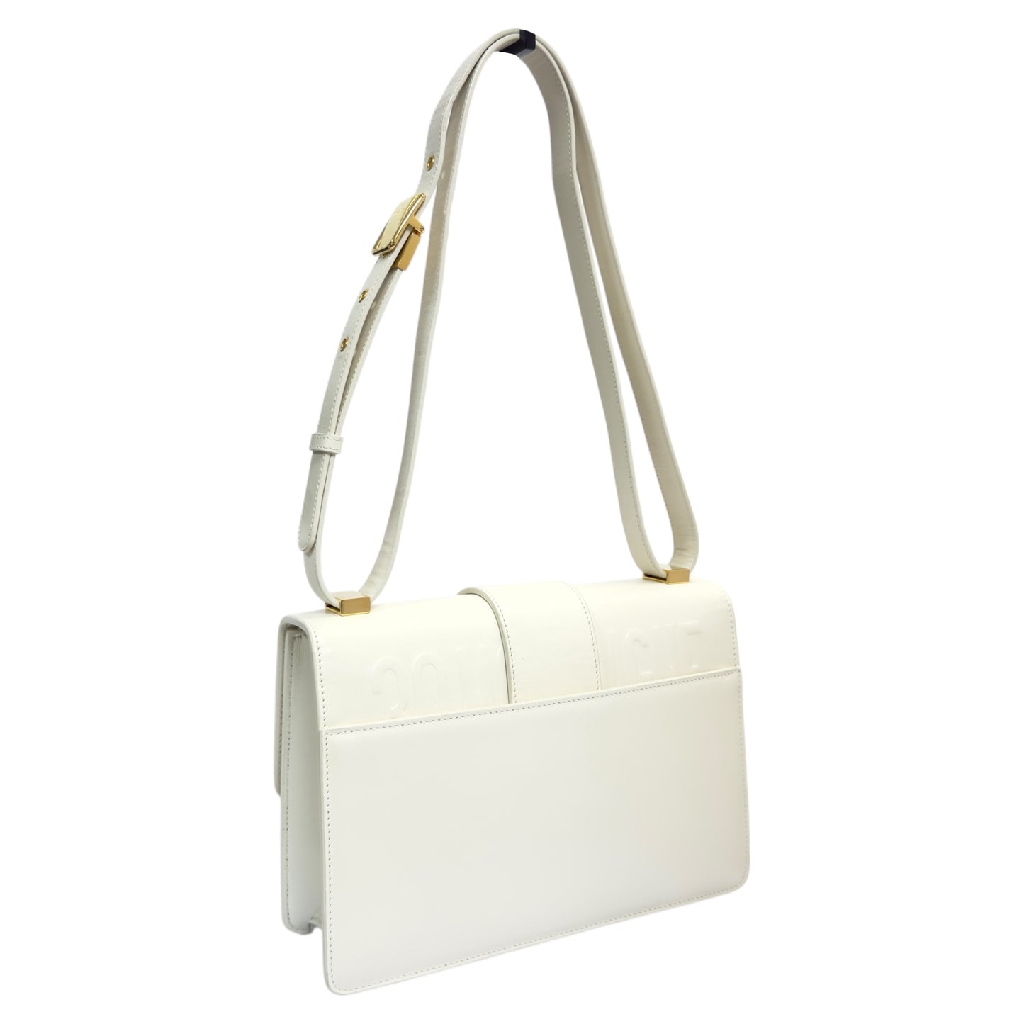 DIOR 30 Montaigne 2用袋