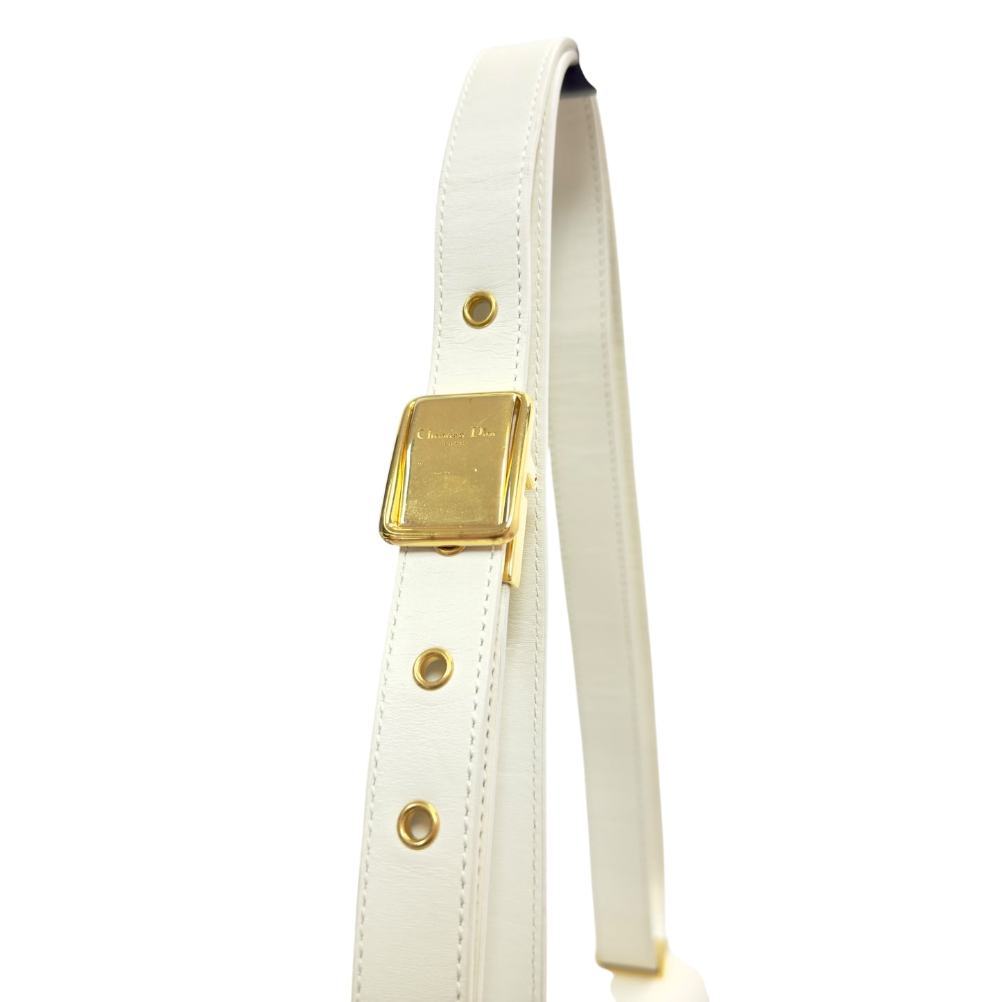 DIOR 30 Montaigne 2用袋