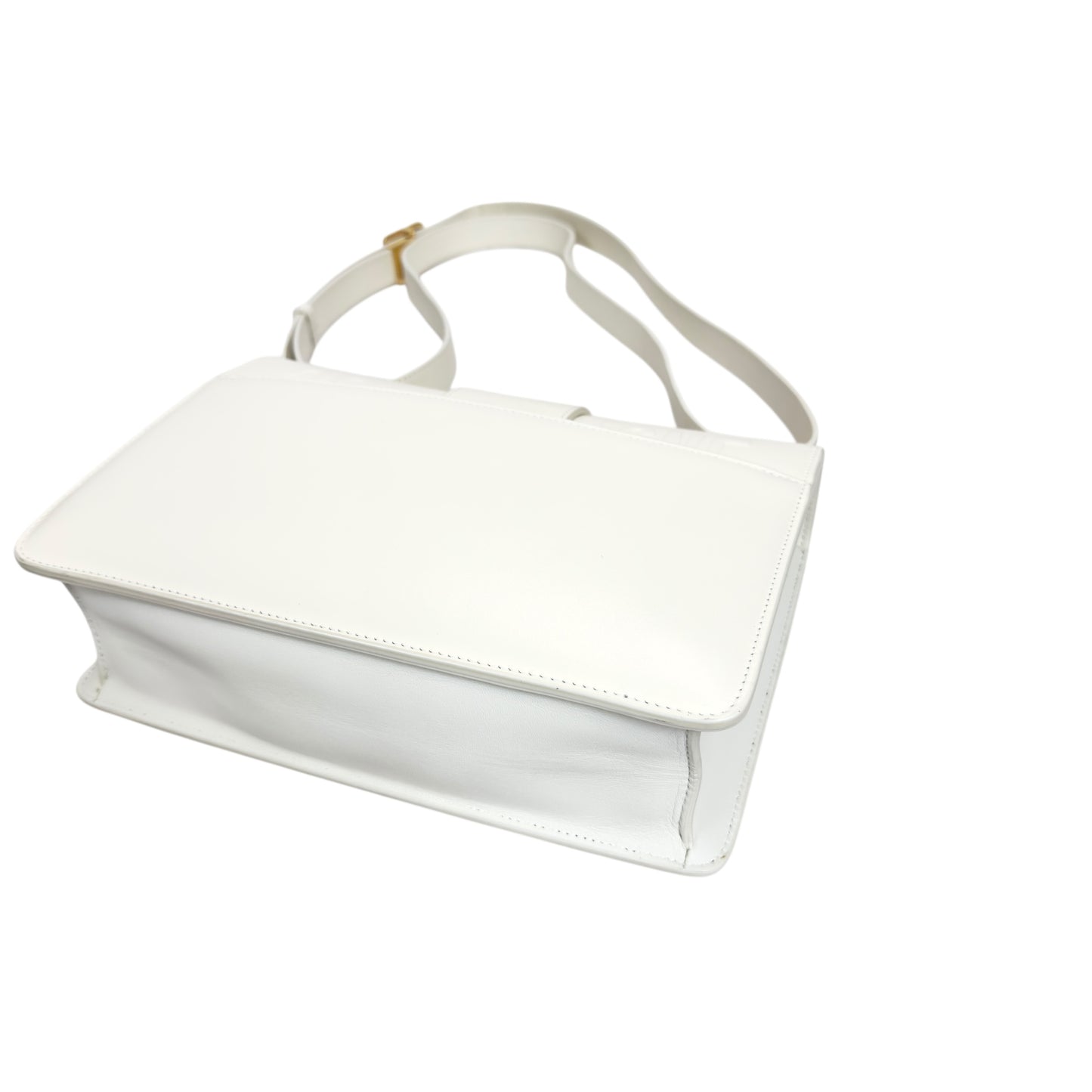 DIOR 30 Montaigne 2用袋