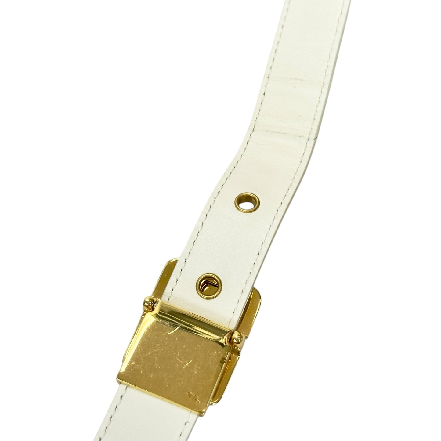 DIOR 30 Montaigne 2用袋